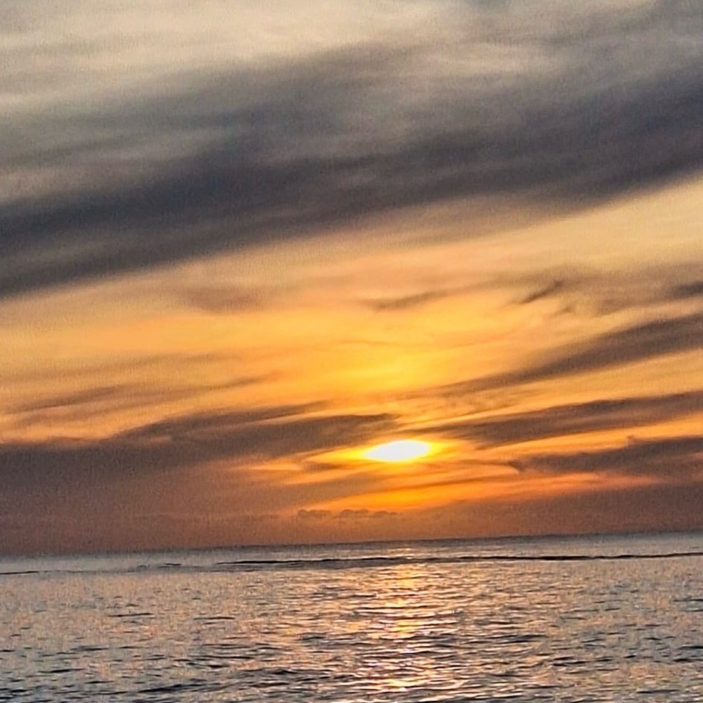 Meet your Posher, Jan